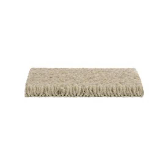 Soft Outlook - Fine Vellum Soft Outlook - Fine Vellum