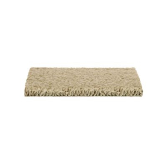 Soft Outlook - Quiet Beige Soft Outlook - Quiet Beige