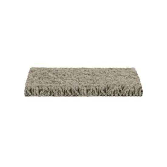 Soft Outlook - Greige Tint Soft Outlook - Greige Tint