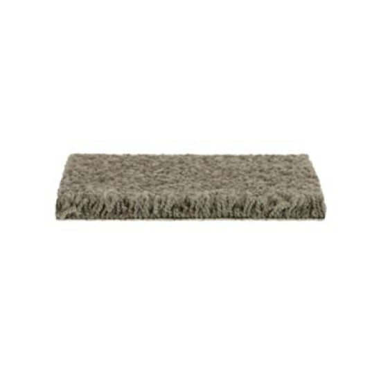 Soft Outlook - Urban Putty Soft Outlook - Urban Putty