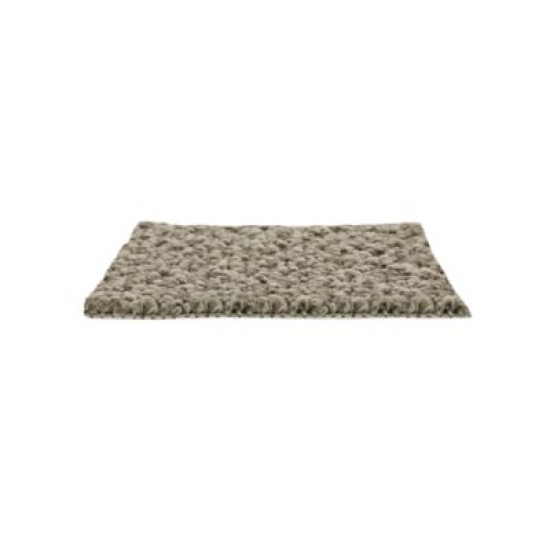 Cozy Classic - Mushroom Cozy Classic - Mushroom
