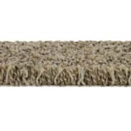 Graceful Harmony I - Blonde Willow