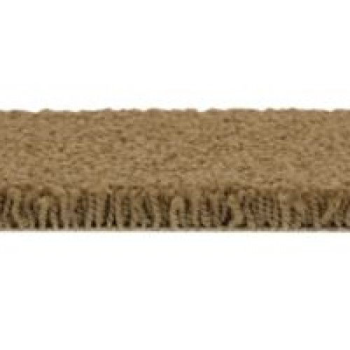Coastal Fashion I - Wild Cattail