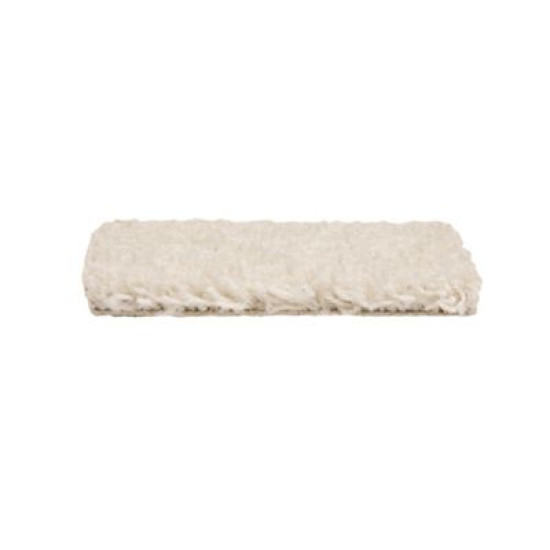 Gentle Path - Sea Shell Gentle Path - Sea Shell