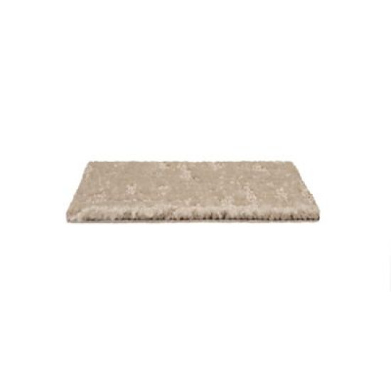 Timeless Journey II - Truffle Timeless Journey II - Truffle