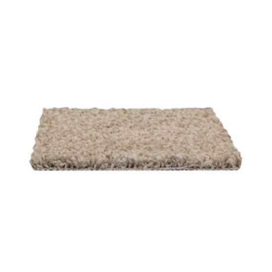 Up The Ante - New Wheat Up The Ante - New Wheat