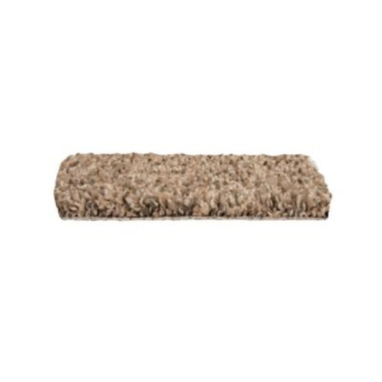 Tectonic - Flax Seed Tectonic - Flax Seed