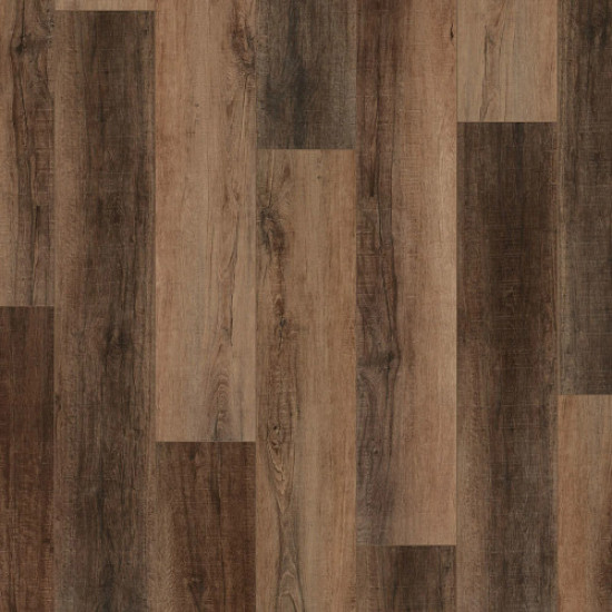 COREtec PRo Enhanced VV488 - Cheshire Elm 02094 COREtec PRo Enhanced VV488 - Cheshire Elm 02094