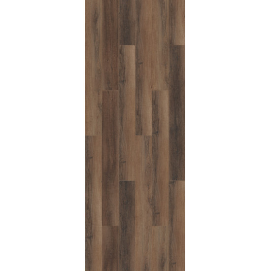 COREtec PRo Enhanced VV488 - Cheshire Elm 02094 COREtec PRo Enhanced VV488 - Cheshire Elm 02094