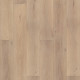 COREtec PRo Enhanced VV488 - Ravenswood Oak 2091A COREtec PRo Enhanced VV488 - Ravenswood Oak 2091A