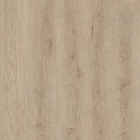 COREtec Pro Enhanced VV492 - Shoreline Maple 02030 COREtec Pro Enhanced VV492 - Shoreline Maple 02030