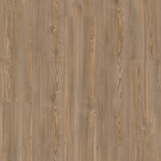 COREtec Originals Premium VV457 - Treasure Pine 02906 COREtec Originals Premium VV457 - Treasure Pine 02906