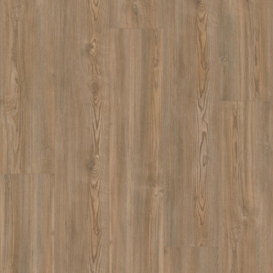 COREtec Originals Premium VV457 - Treasure Pine 02906 COREtec Originals Premium VV457 - Treasure Pine 02906
