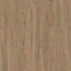 COREtec Originals Premium VV457 - Treasure Pine 02906 COREtec Originals Premium VV457 - Treasure Pine 02906