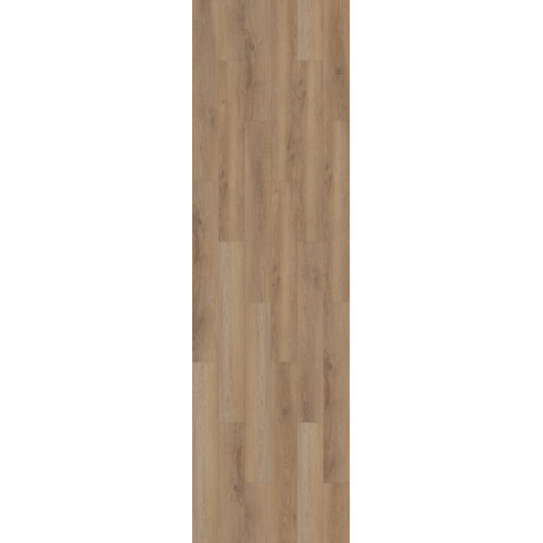 Galaxy - Cartwheel Oak 02061