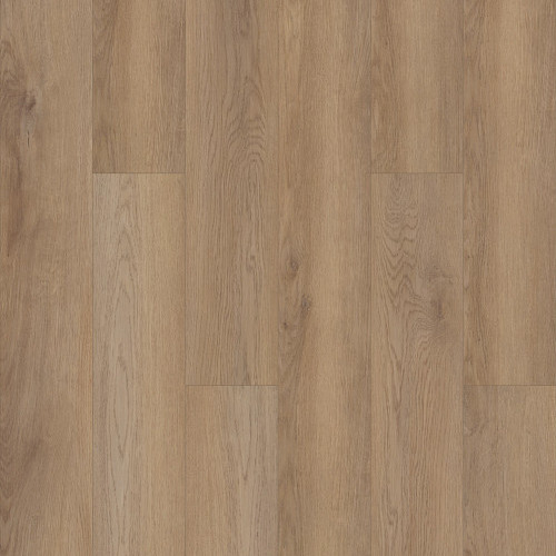 Galaxy - Cartwheel Oak 02061