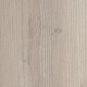 Galaxy - Sunflower Pine 02065 Galaxy - Sunflower Pine 02065