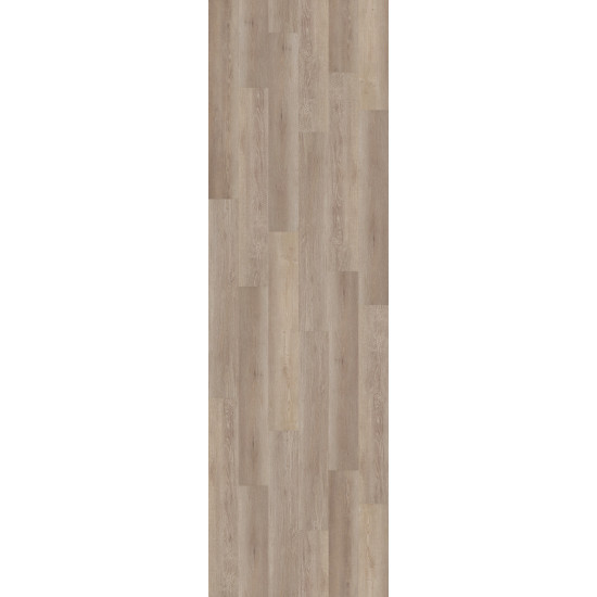Galaxy - Spiral Pine 02066 Galaxy - Spiral Pine 02066
