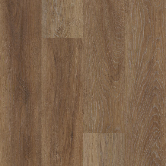 Galaxy - Magellanic Oak 02080 Galaxy - Magellanic Oak 02080