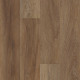 Galaxy - Magellanic Oak 02080 Galaxy - Magellanic Oak 02080