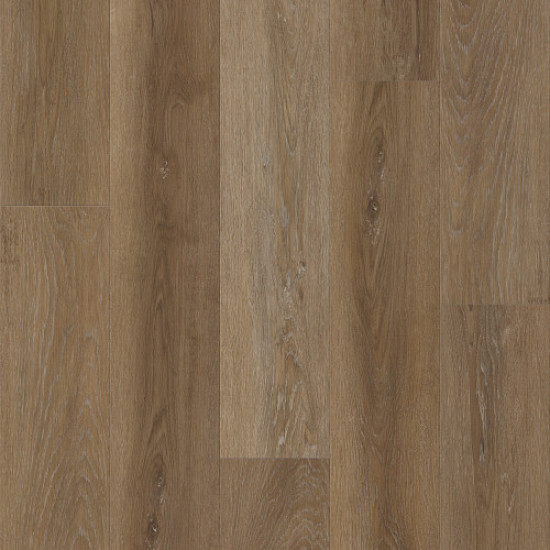 Galaxy - Magellanic Oak 02080 Galaxy - Magellanic Oak 02080