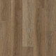 Galaxy - Magellanic Oak 02080 Galaxy - Magellanic Oak 02080