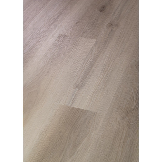 Galaxy - Maffei Cherry 02081 Galaxy - Maffei Cherry 02081
