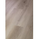 Galaxy - Maffei Cherry 02081 Galaxy - Maffei Cherry 02081