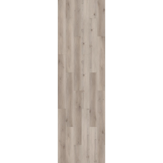 Galaxy - Maffei Cherry 02081 Galaxy - Maffei Cherry 02081