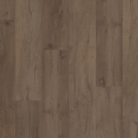 COREtec Pro Premium VV800 - Stonehaven Maple 03024 COREtec Pro Premium VV800 - Stonehaven Maple 03024