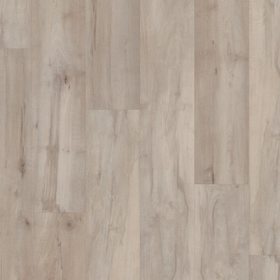 COREtec Pro Premium VV800 - Lawrence Maple 07026 COREtec Pro Premium VV800 - Lawrence Maple 07026