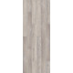 COREtec Pro Enhanced VV491 - Dublin Pine 02959 COREtec Pro Enhanced VV491 - Dublin Pine 02959