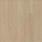 COREtec Originals Premium VV457 - Vanilla Pine 05036