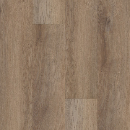 Galaxy - Cartwheel Oak 02061 Galaxy - Cartwheel Oak 02061
