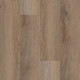 Galaxy - Cartwheel Oak 02061 Galaxy - Cartwheel Oak 02061