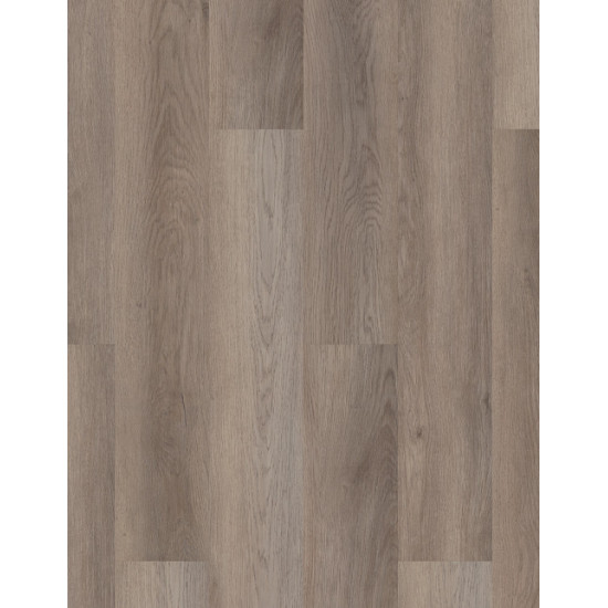 Galaxy - Elliptical Oak 02062 Galaxy - Elliptical Oak 02062