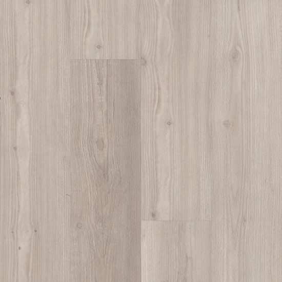 Galaxy - Sunflower Pine 02065 Galaxy - Sunflower Pine 02065