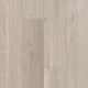 Galaxy - Sunflower Pine 02065 Galaxy - Sunflower Pine 02065