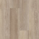 Galaxy - Spiral Pine 02066 Galaxy - Spiral Pine 02066