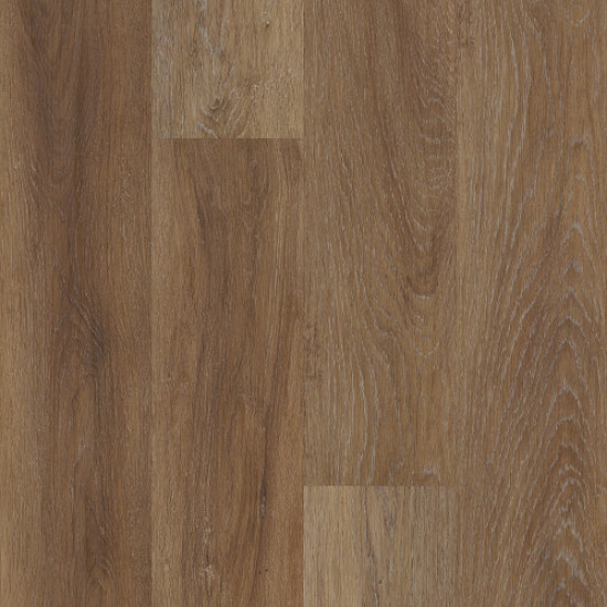 Galaxy - Magellanic Oak 02080 Galaxy - Magellanic Oak 02080