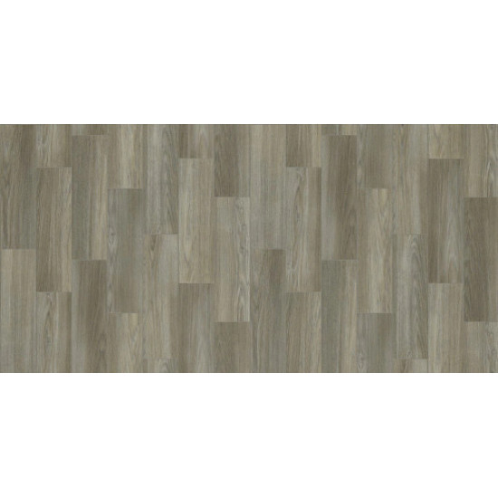 COASTAL PLAINII - Footprint 00176 COASTAL PLAINII - Footprint 00176