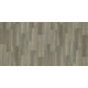 COASTAL PLAINII - Footprint 00176 COASTAL PLAINII - Footprint 00176