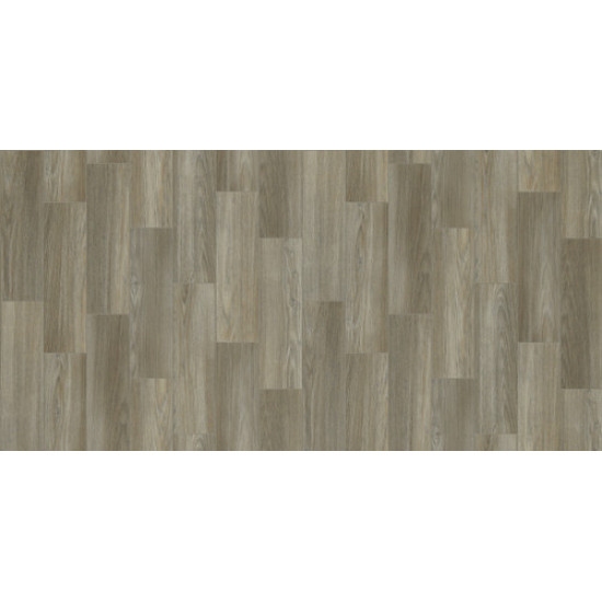 COASTAL PLAINII - Footprint 00176 COASTAL PLAINII - Footprint 00176