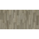 COASTAL PLAINII - Footprint 00176 COASTAL PLAINII - Footprint 00176
