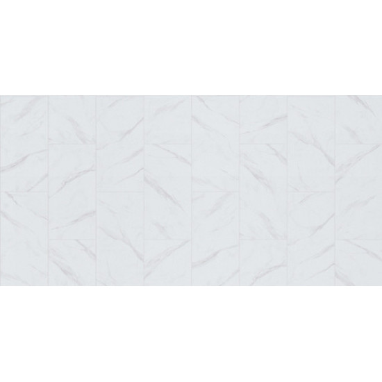 COASTAL PLAINII - Summit 00180