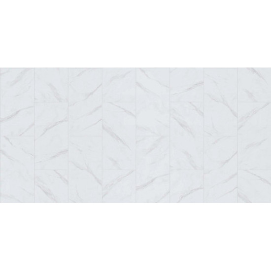 COASTAL PLAINII - Summit 00180