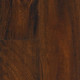 Acacia - African Sunset Acacia - African Sunset