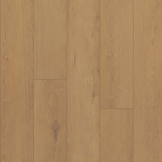 Mokuzai - Raw Timber Mokuzai - Raw Timber