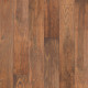 Chestnut Hill - Nutmeg Chestnut Hill - Nutmeg