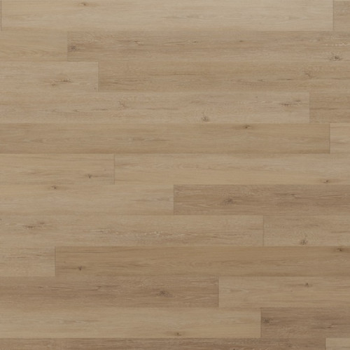 Regency Oak - Polished Platinum
